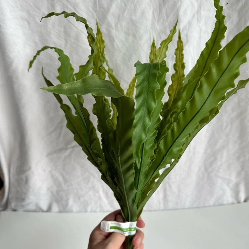NWT Ashland Green Leaf Stem